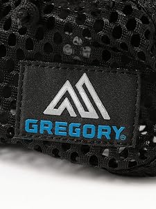Amazon | [ビームスボーイ] キャンパス・バッグ 【別注】 GREGORY
